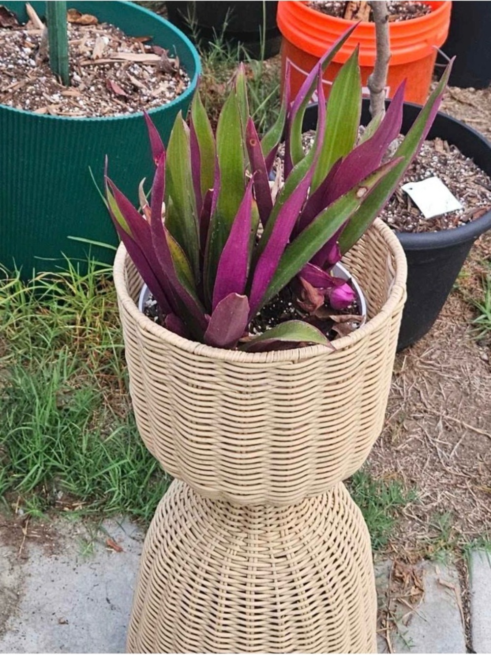 Rattan Reversible Outdoor Planter Basket - Hearth & Hand - 24 in NWOT - Picture 5 of 9